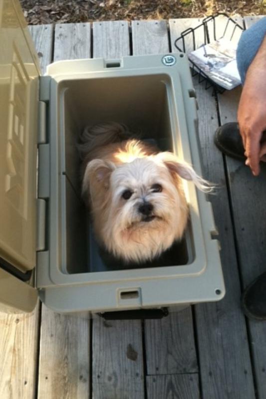 User uploaded product image