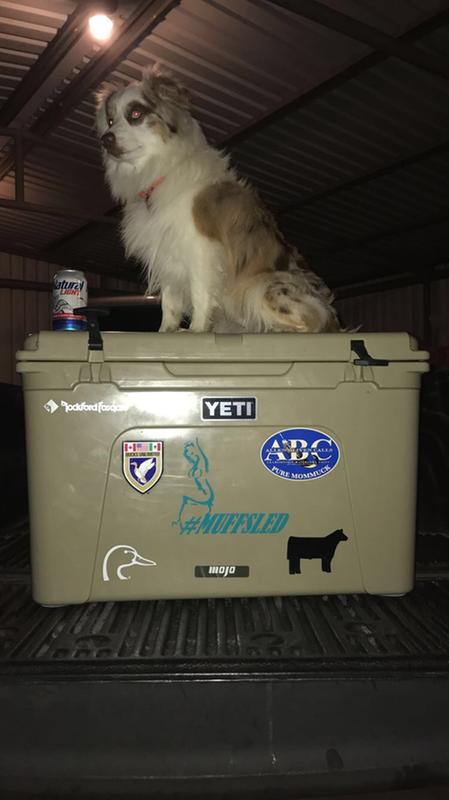 User uploaded product image