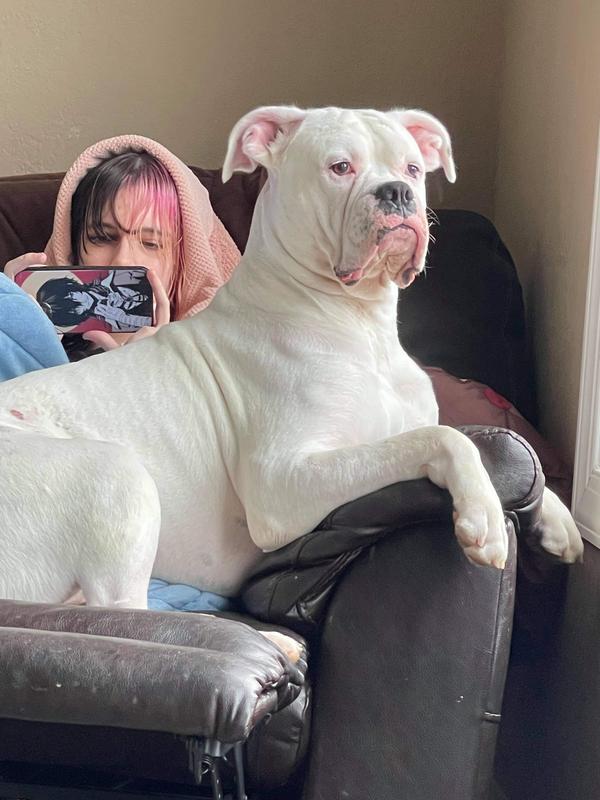 Photo submitted with review of product