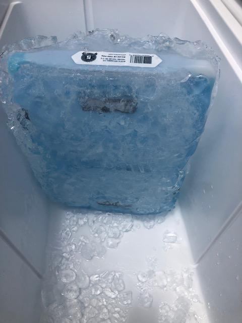 Photo submitted with review of product