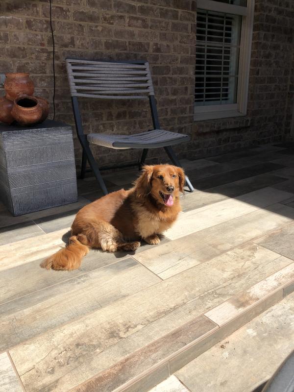 Photo submitted with review of product