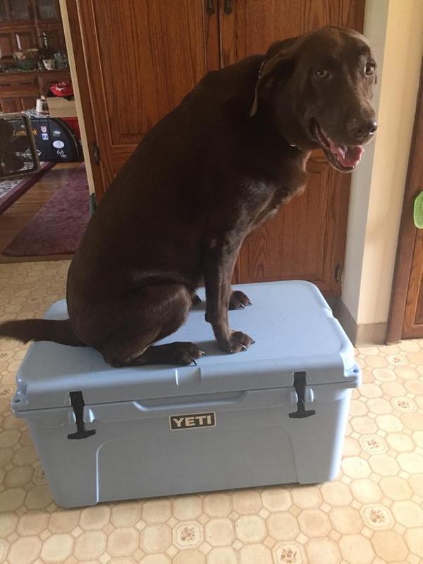 User uploaded product image