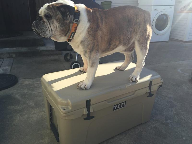 User uploaded product image