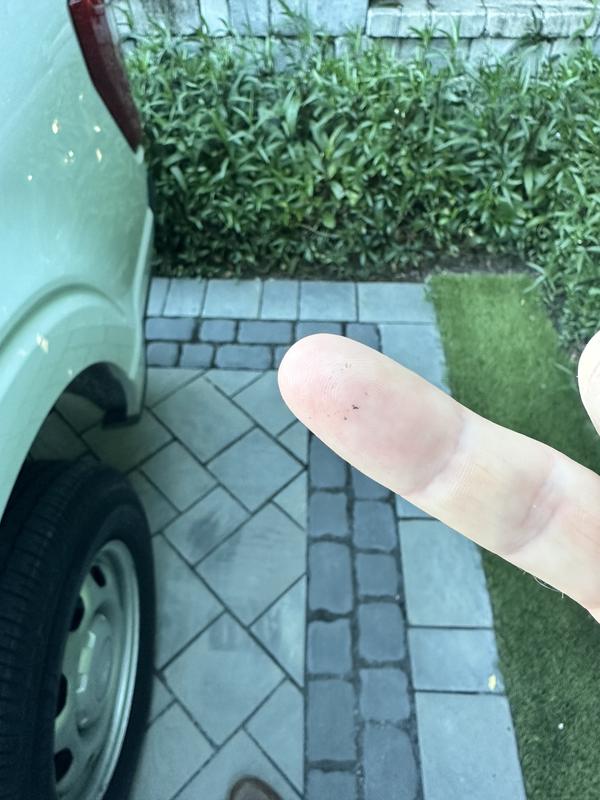 Photo submitted with review of product