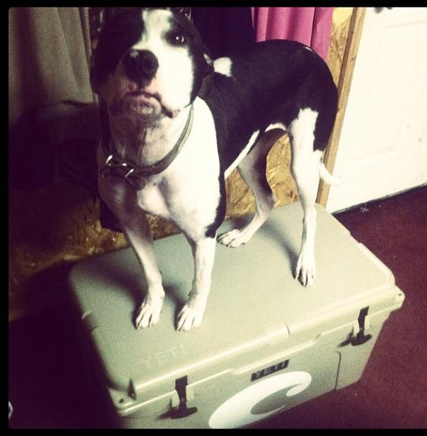 User uploaded product image