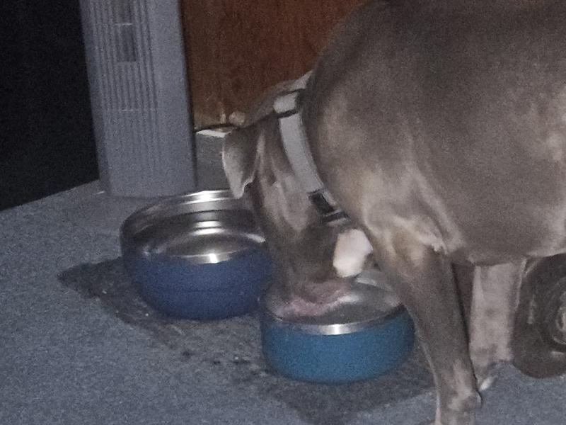 Photo submitted with review of product