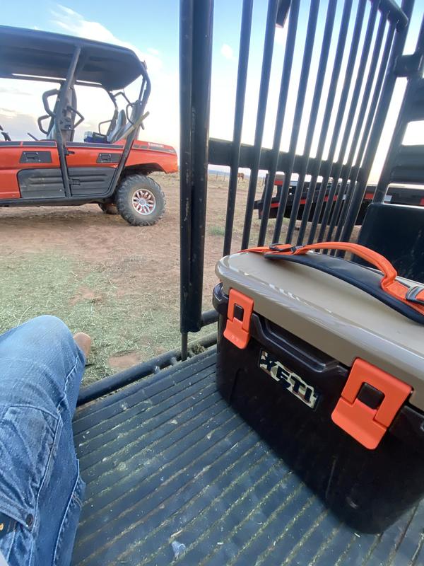 Photo submitted with review of product