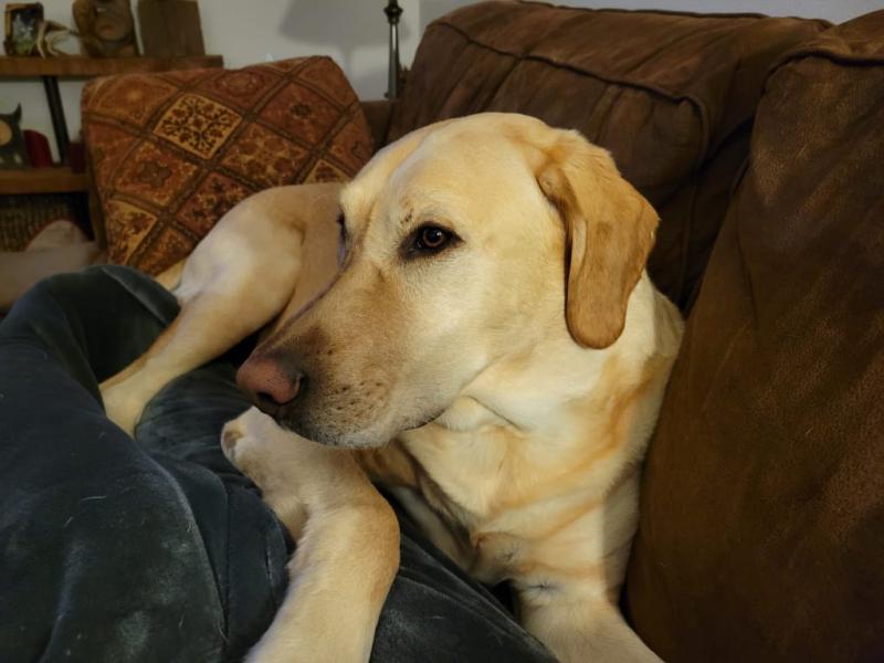 Finally relaxed and calm