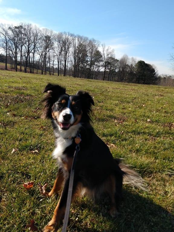 Carly enjoys the outdoors stress free!
