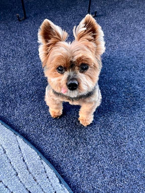 No cloudy eyes for me anymore