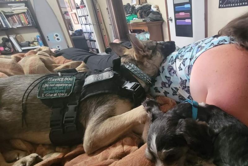 Relaxing and hanging out with me during a storm